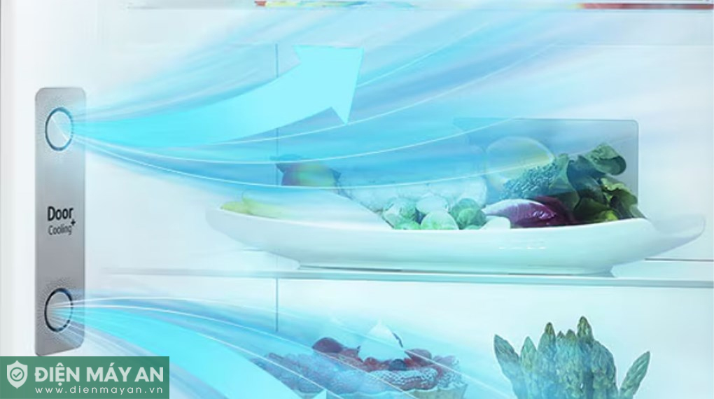 Tủ lạnh LG Inverter 459 lít LTD46BLMA